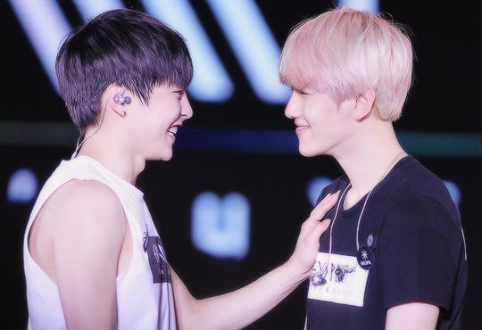 백시 멍냥이들 | 인스티즈