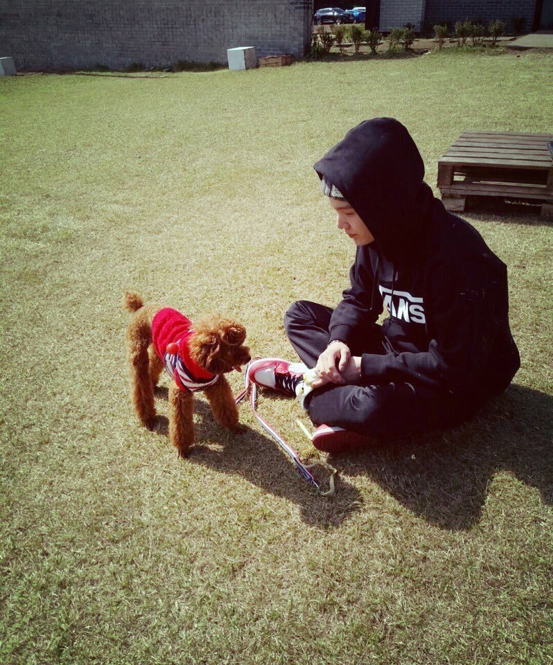 방탄 슈가네 강아지는 사진 뜰때마다 달라보여ㅋㅋㅋㅋㅋㅋㅋㅋㅋㅋ팬들끼리 맨날 초면이라고 그래 | 인스티즈