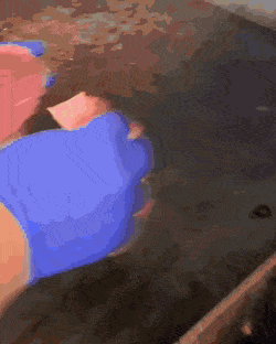 이거 눈앞에 있으면 먹을 거야? | 인스티즈