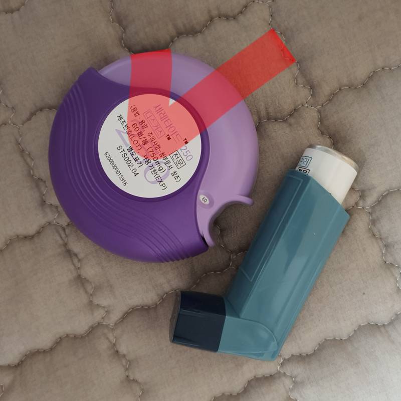 천식있는익들??아님 잘알익?? 이거 꼭 꼬박꼬박써야하? | 인스티즈