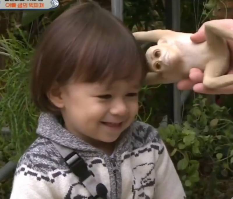 이거 윌리엄 닮지 않았어? | 인스티즈