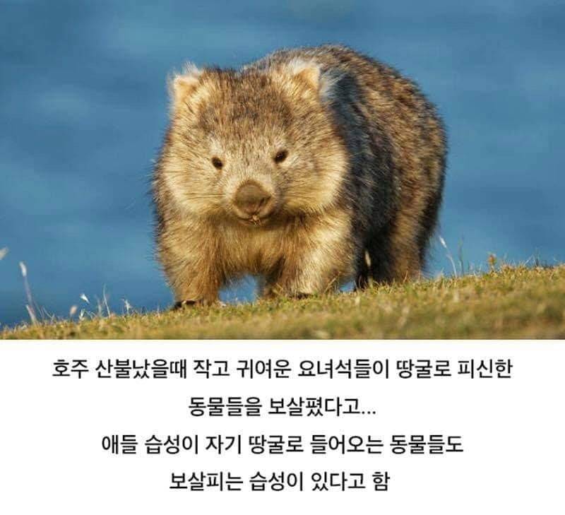 이거 진짜여?? | 인스티즈