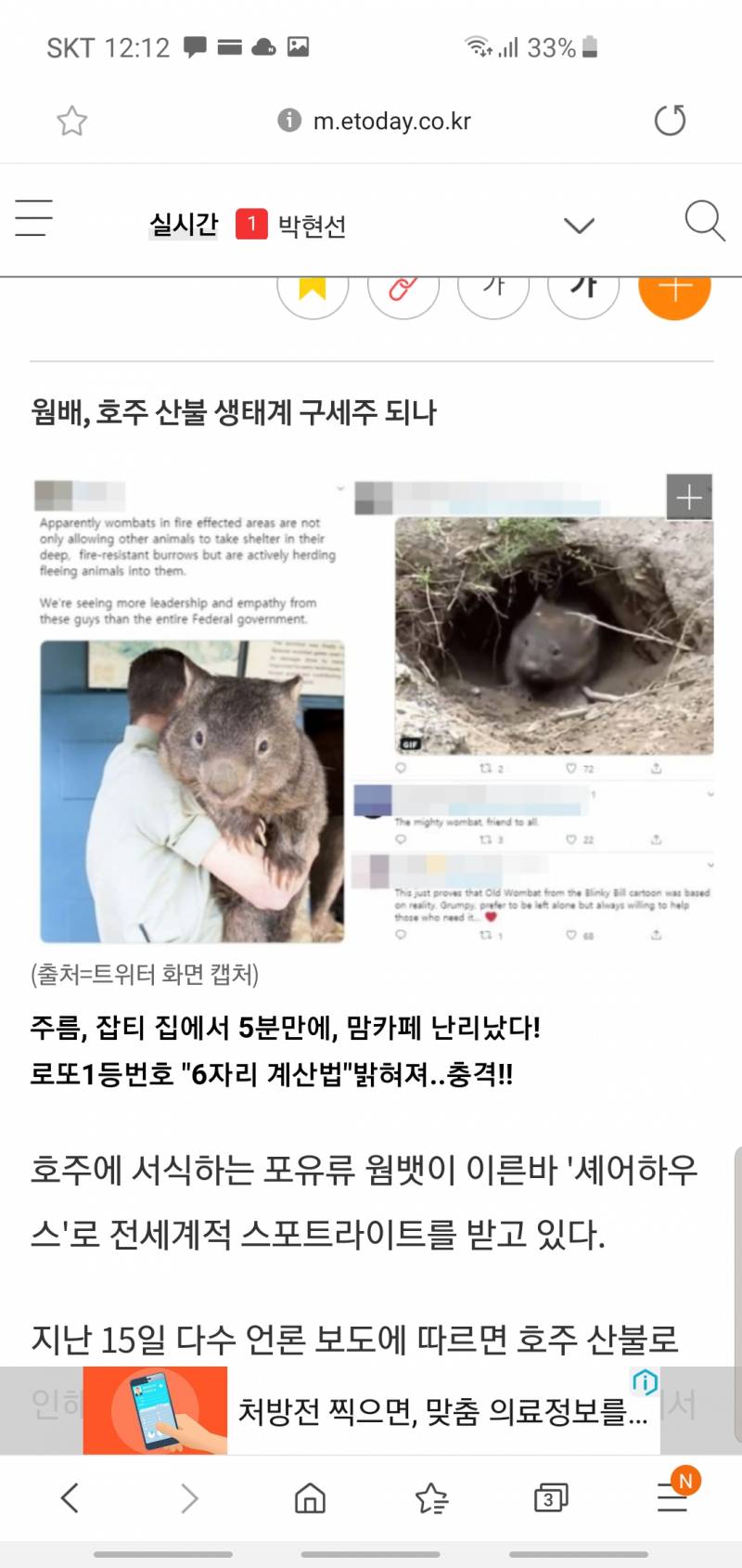 호주산불 웜벳 알아? | 인스티즈