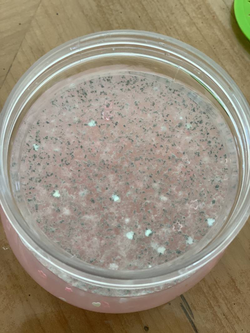 익들아 슬라임에 곰팡이 핀 거 볼래..? 40 (혐오주의) | 인스티즈