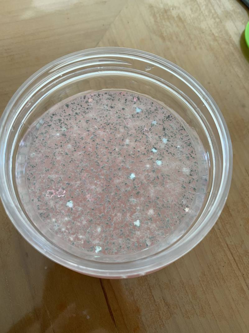 익들아 슬라임에 곰팡이 핀 거 볼래..? 40 (혐오주의) | 인스티즈