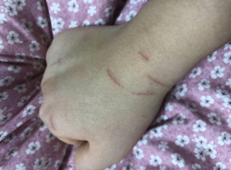 고양이 키우는 사람의 일상 | 인스티즈