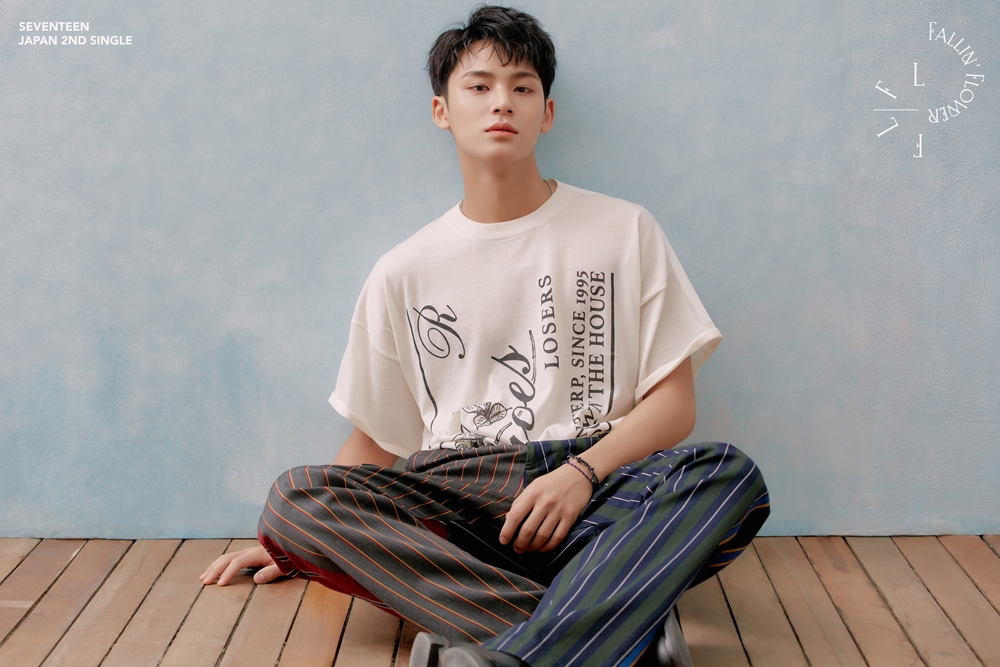 그래 세븐틴... 이 틈에 | 인스티즈