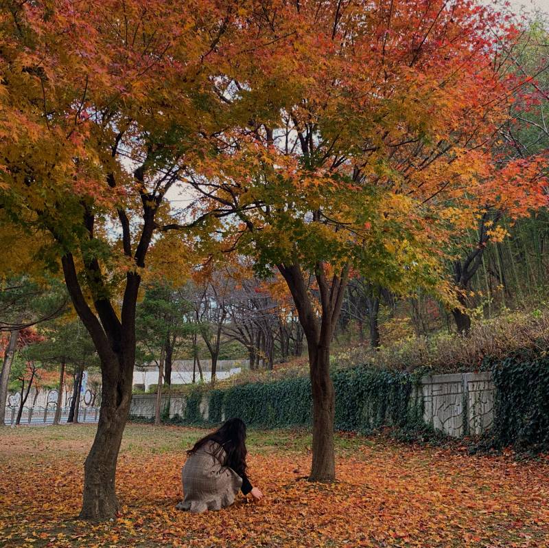 진짜 사진은 보정 조금만 해도 분위기가 바뀌는 거 같아 4040 | 인스티즈