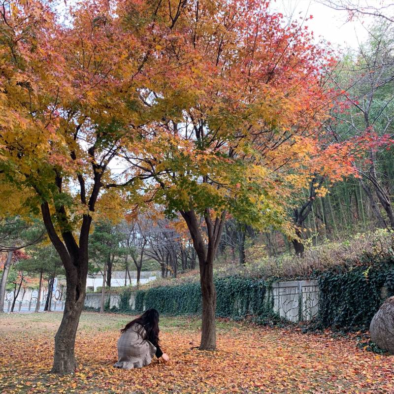 진짜 사진은 보정 조금만 해도 분위기가 바뀌는 거 같아 4040 | 인스티즈
