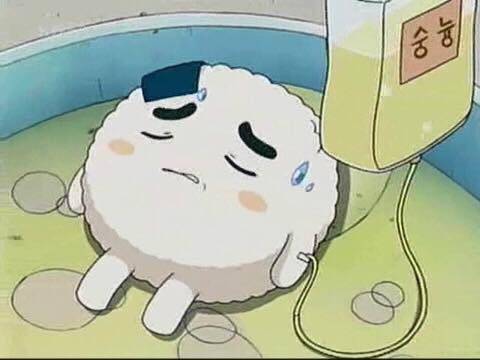 간호학과인 사람?🌸🌸 | 인스티즈