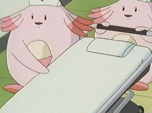 간호학과인 사람?🌸🌸 | 인스티즈