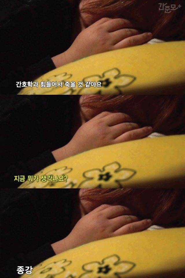 간호학과인 사람?🌸🌸 | 인스티즈