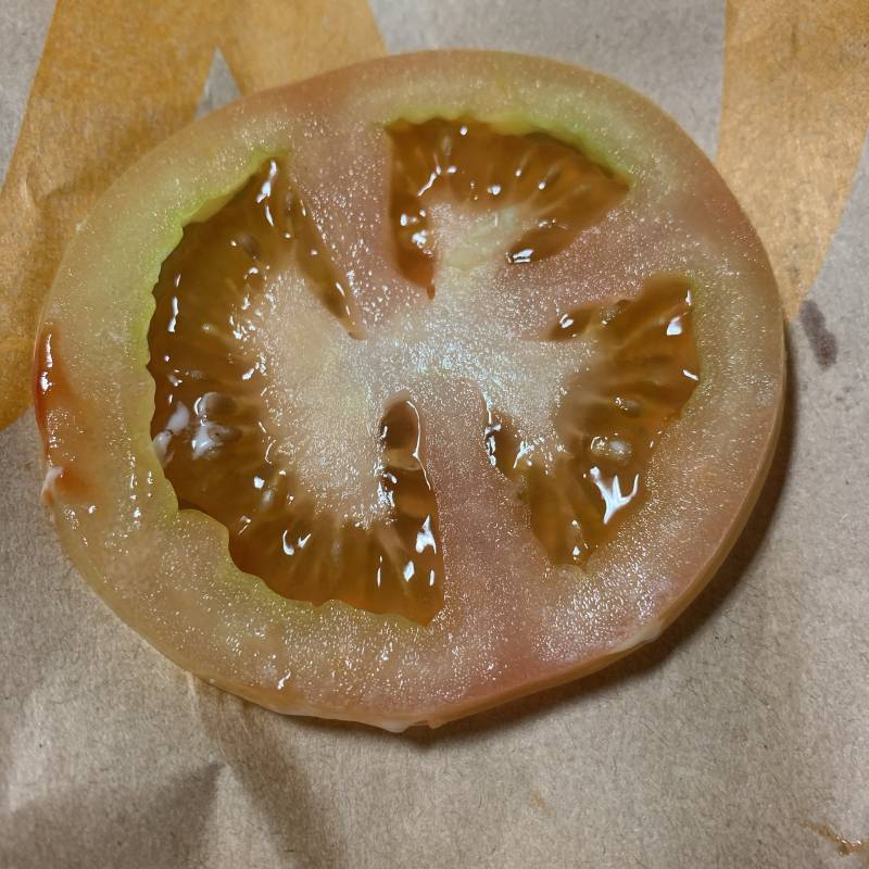 햄버거 토마토 이게 뭐야,,, | 인스티즈