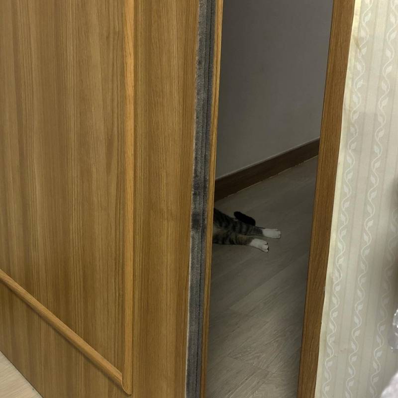 이게 누구발이야 | 인스티즈