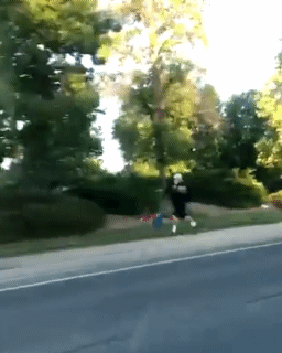 아 나 이 짤 넘 웃겨 | 인스티즈