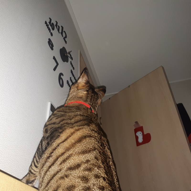 잠을 못 자겠어ㅠㅠㅠㅠㅠ | 인스티즈