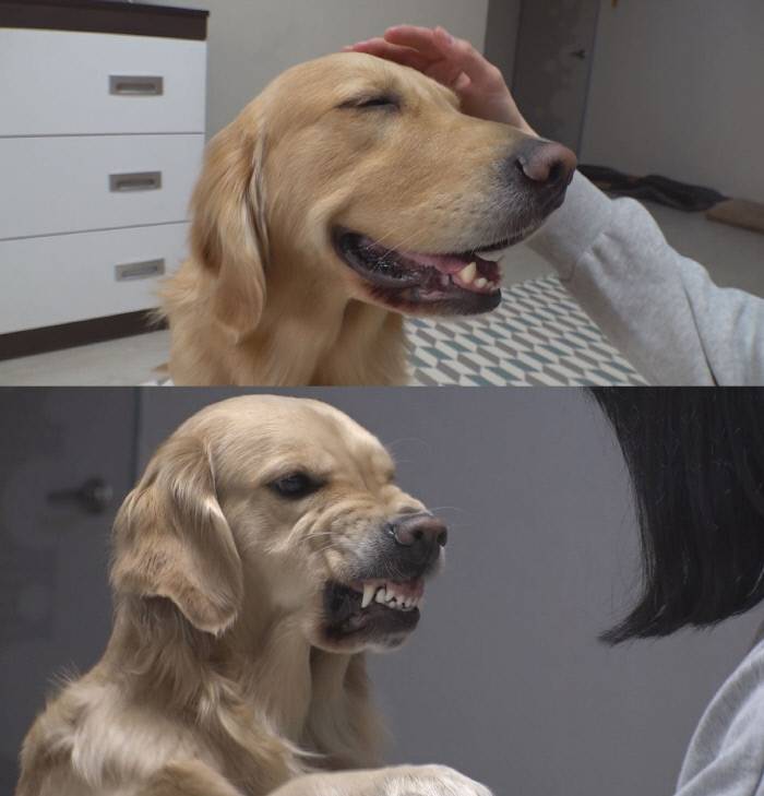 개명할건데 이름많이 이상해?? | 인스티즈