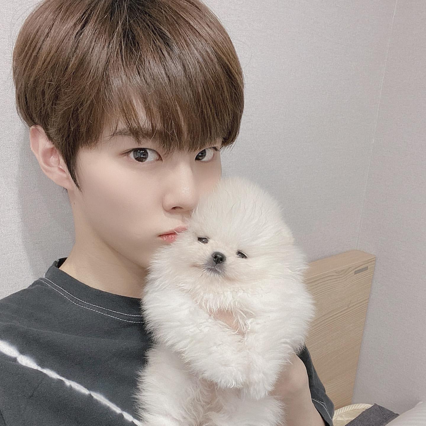 우석아 강아지 이름 알려조 | 인스티즈