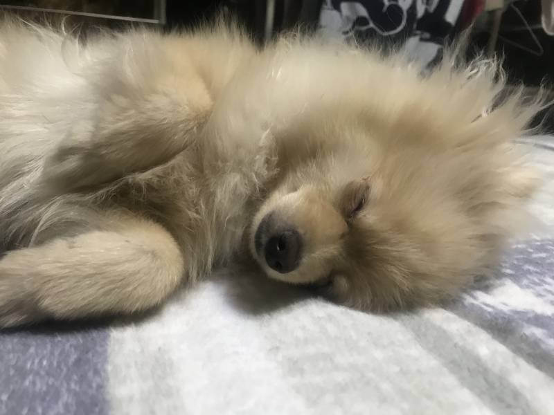 얘 자는거봐 ㅌㅋㅋ | 인스티즈