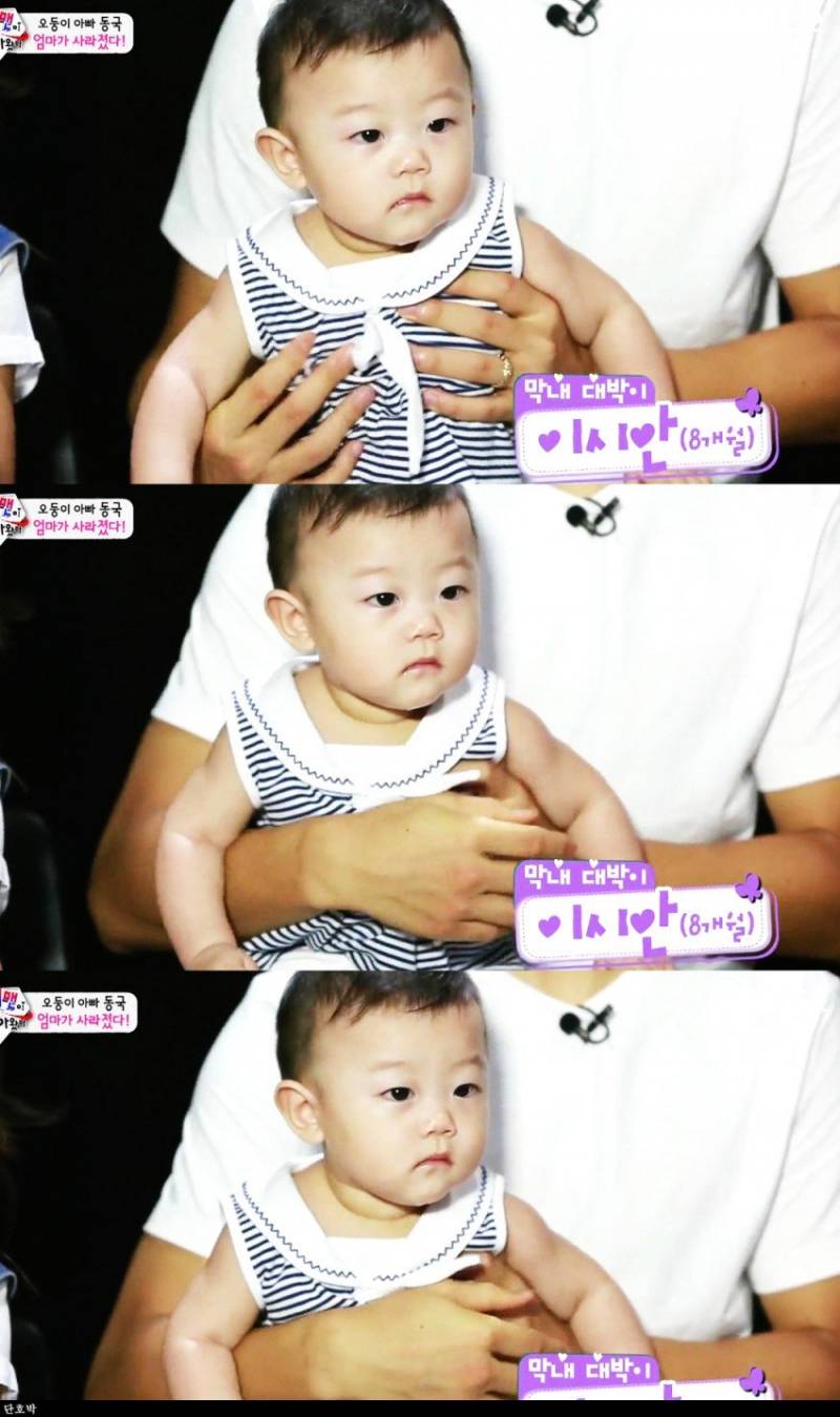 내가 정말 사랑했던 애기들 ... ㅜㅜㅠㅠ 퓨ㅠㅠㅠㅠㅠ | 인스티즈