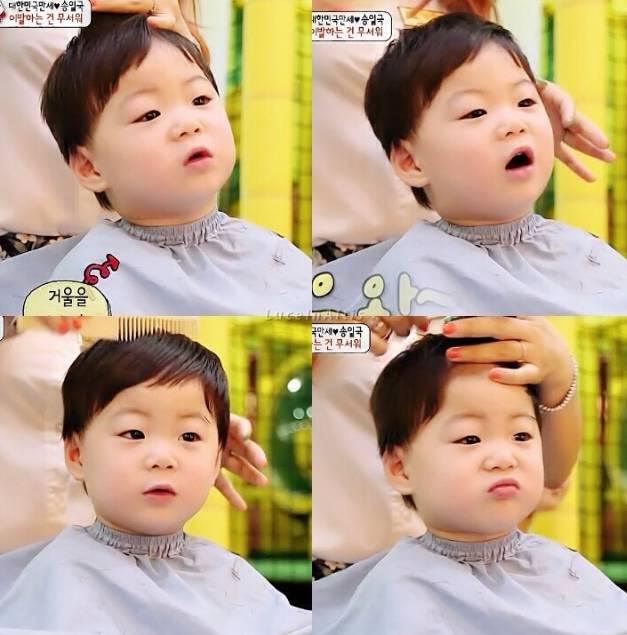 내가 정말 사랑했던 애기들 ... ㅜㅜㅠㅠ 퓨ㅠㅠㅠㅠㅠ | 인스티즈