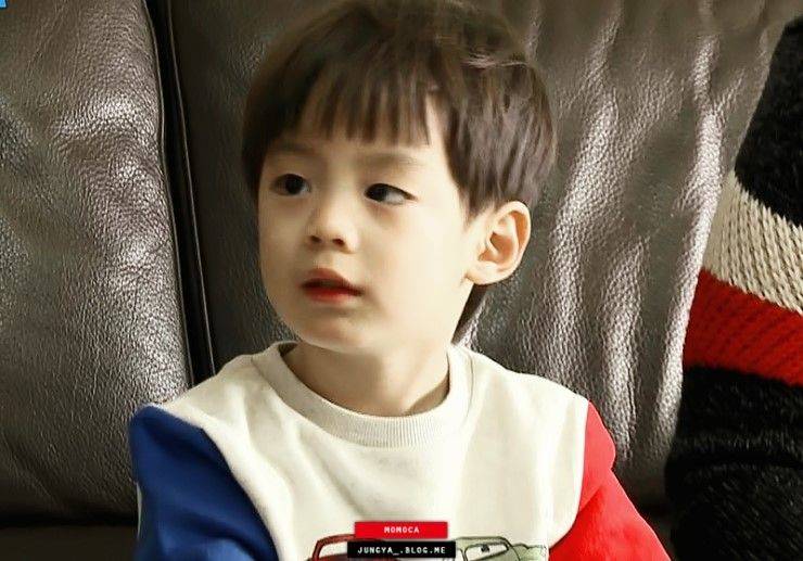 내가 정말 사랑했던 애기들 ... ㅜㅜㅠㅠ 퓨ㅠㅠㅠㅠㅠ | 인스티즈