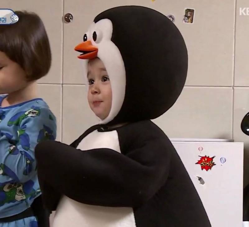 내가 정말 사랑했던 애기들 ... ㅜㅜㅠㅠ 퓨ㅠㅠㅠㅠㅠ | 인스티즈