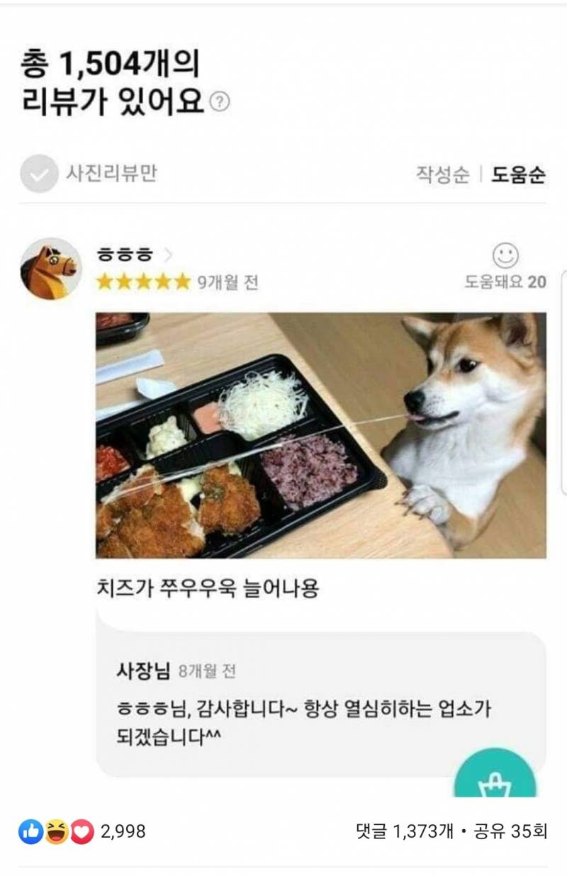 이거 너무 귀여워...... 강아지가 최고야 ㅠㅠ | 인스티즈