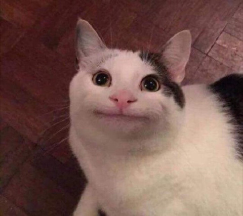 슈가님 이거 닮았어 | 인스티즈