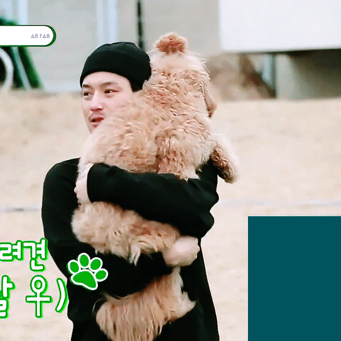 본진과 댕댕이 조합 최고 | 인스티즈