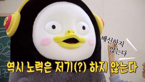 플디 연습실에 걸려있는 펭수 | 인스티즈