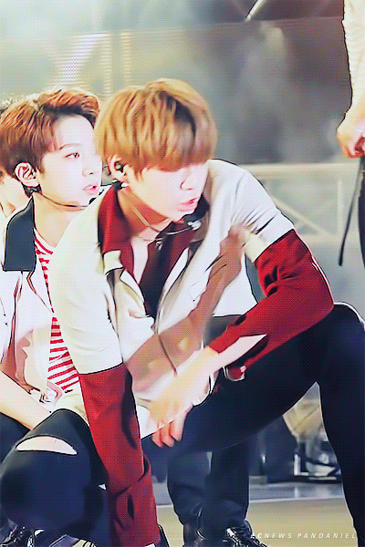 네버추는 강다니엘 너무 좋아죽어... | 인스티즈