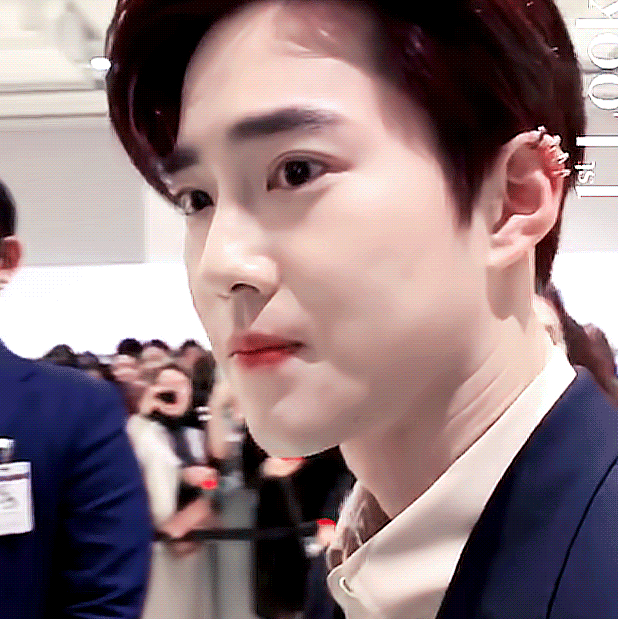 인간 하프 | 인스티즈