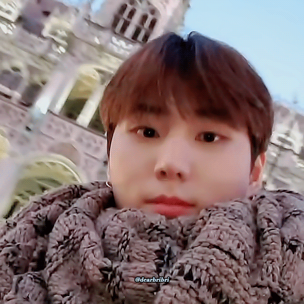 안녕 나의 고양이들을 소개할게 보러올래? 홍홍 | 인스티즈