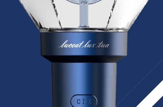 씨아이엑스 응원봉 속 디테일들🤭 | 인스티즈