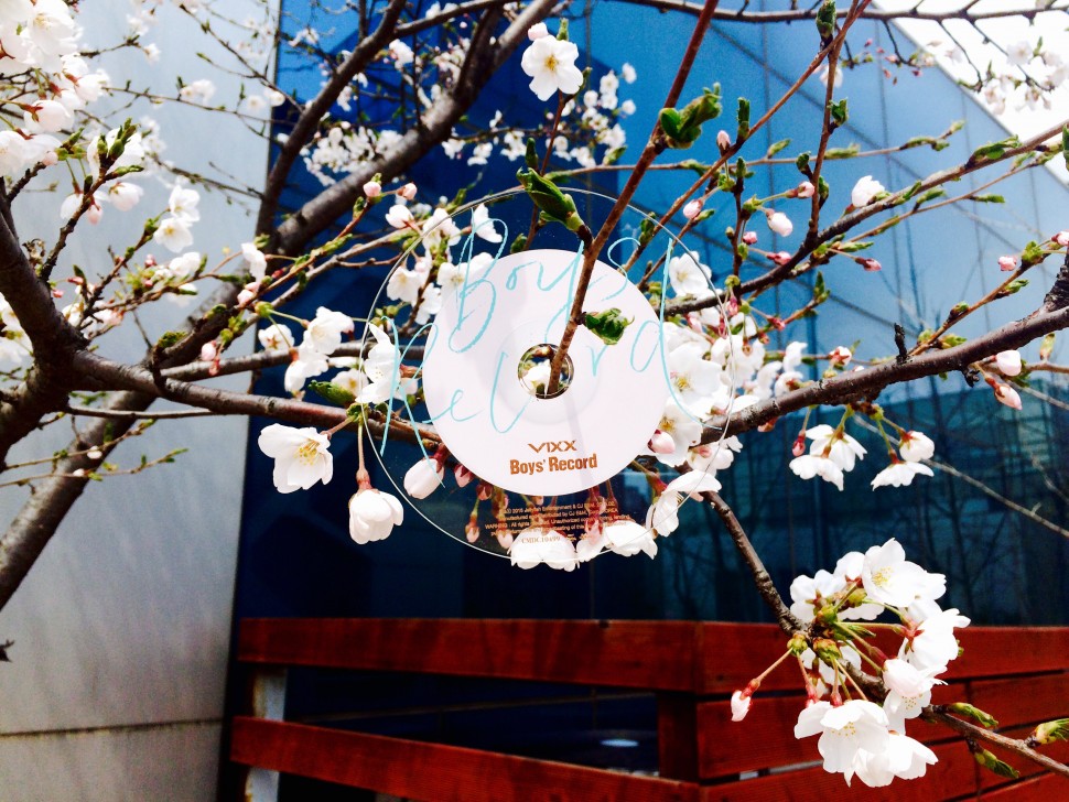 응원봉플에 난 씨디를 자랑한다 | 인스티즈