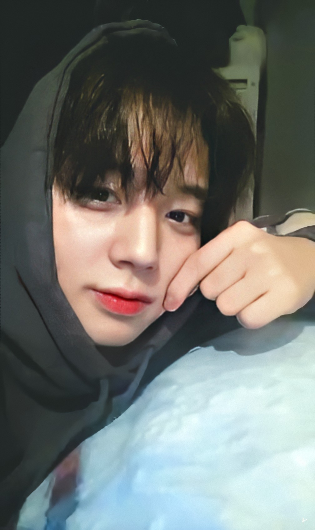 내 최애들? 내가 좋아하는 얼굴들? 공통점 하나도 없음🤔 | 인스티즈