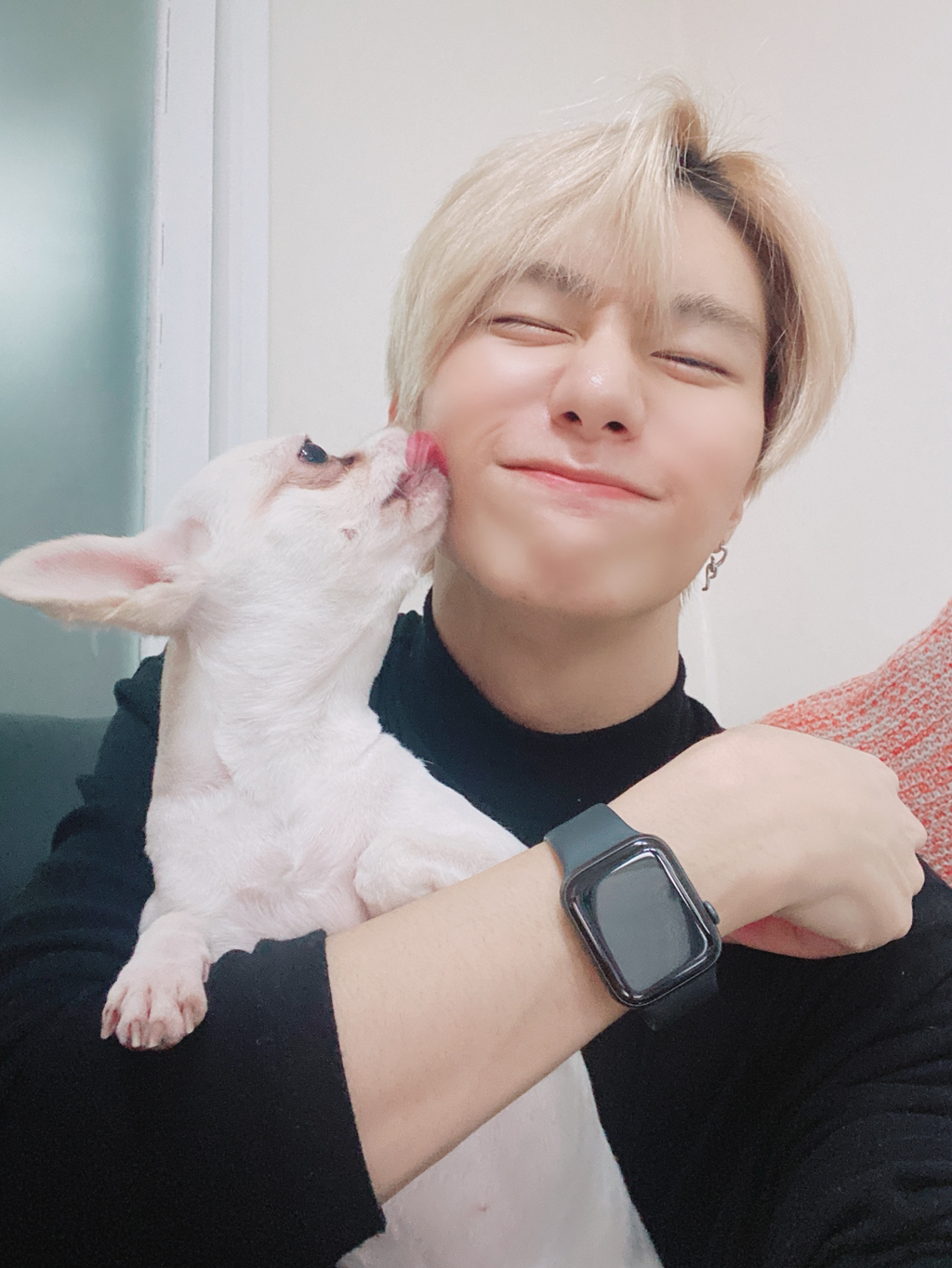 나 오늘부터 저 사진에 있는 강아지할래 | 인스티즈