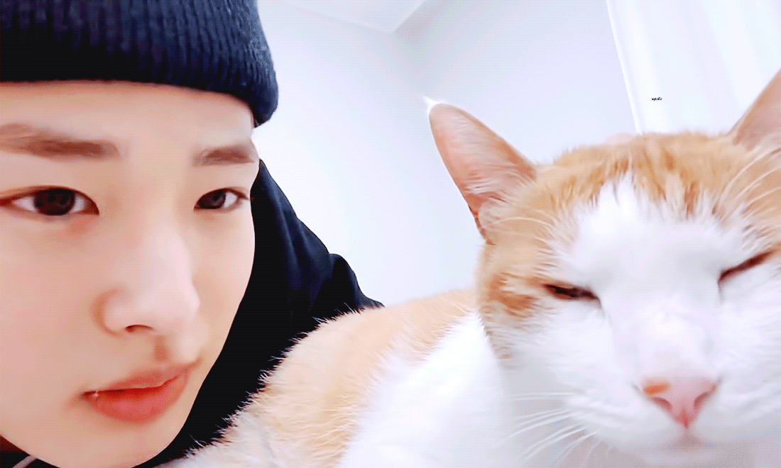 병찬이랑 브리 같이 있는거 보면 편안해져 | 인스티즈