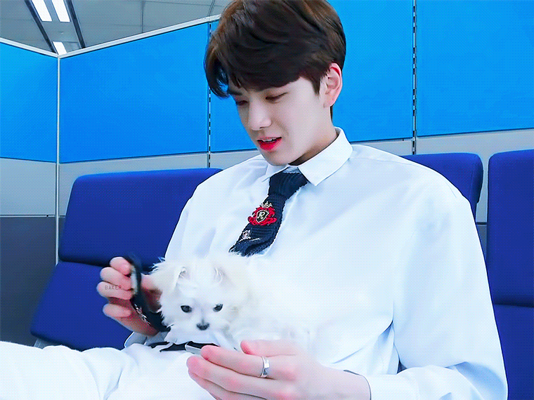 더보이즈 + 모리 = 필승조합 | 인스티즈