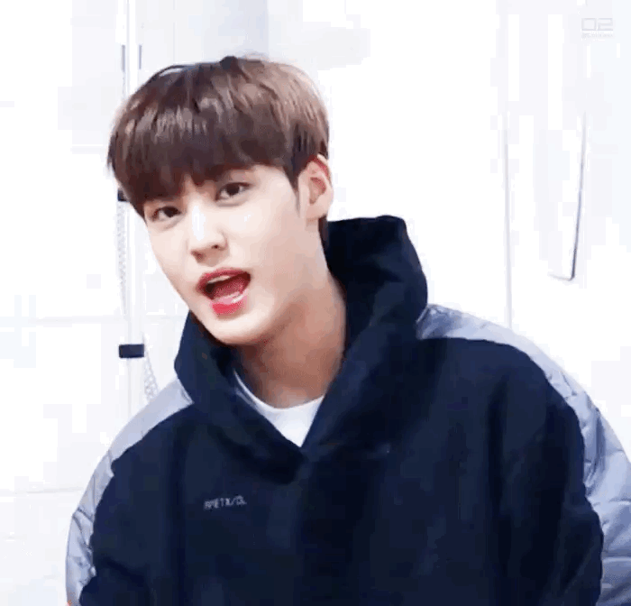 각 그룹 댕댕이들 보여조 | 인스티즈