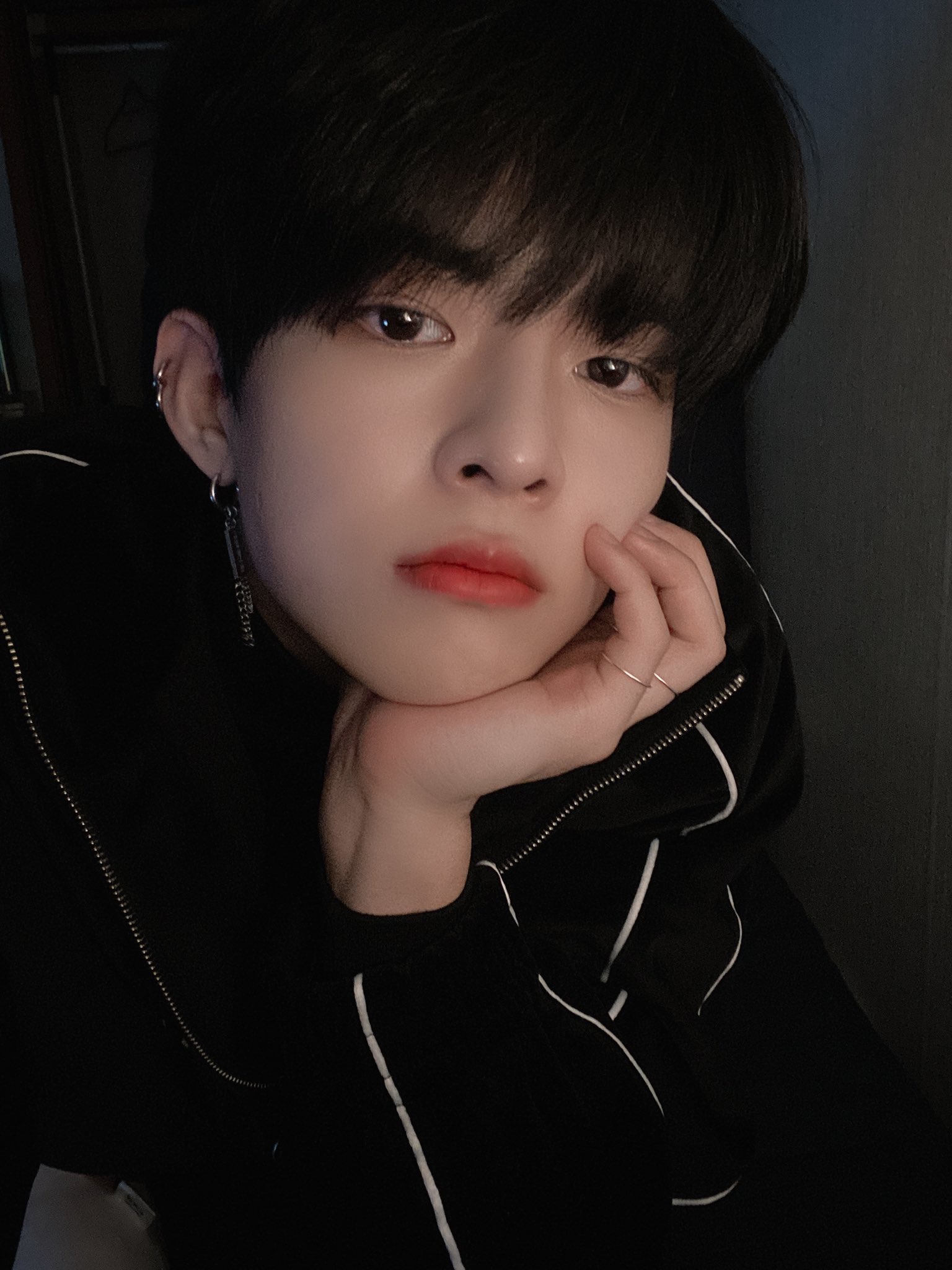 이 아이 고양이야 다람쥐야 | 인스티즈