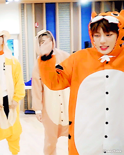 그러고보니까 우리 사자도 있고 호랑이도 있네 | 인스티즈