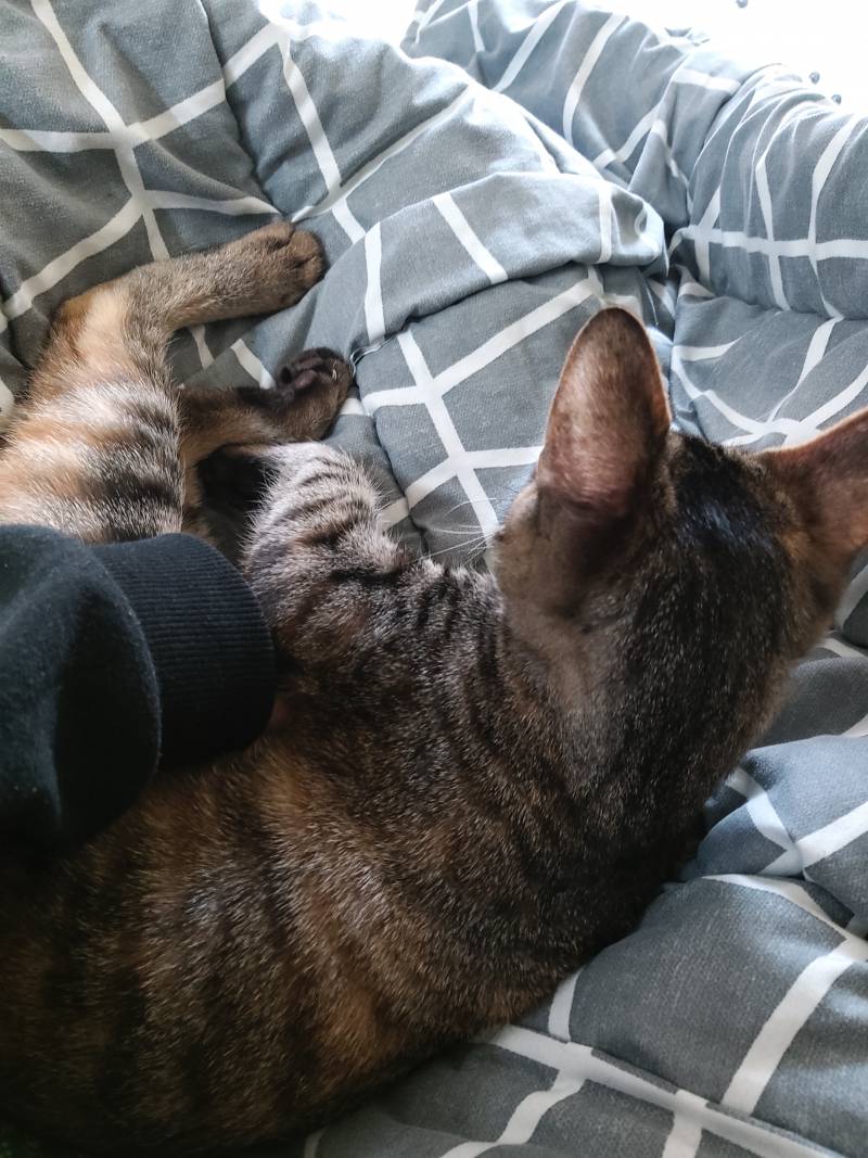 손난로ㅊㅊ해드림 | 인스티즈