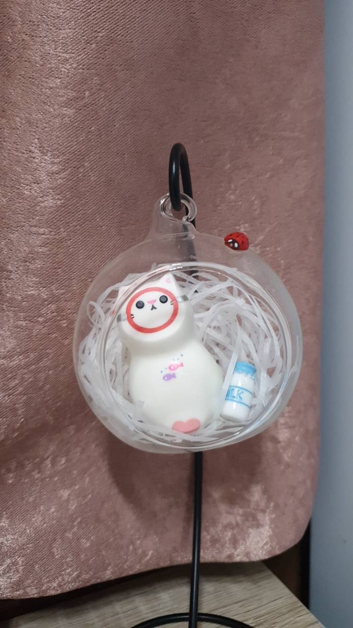 나도 고양이 생겼다...!!! | 인스티즈