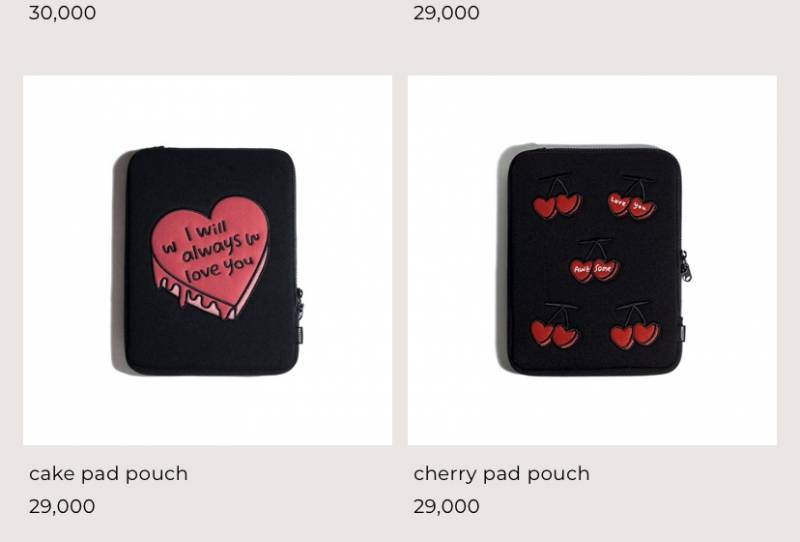 아이패드 파우치 골라줭 | 인스티즈