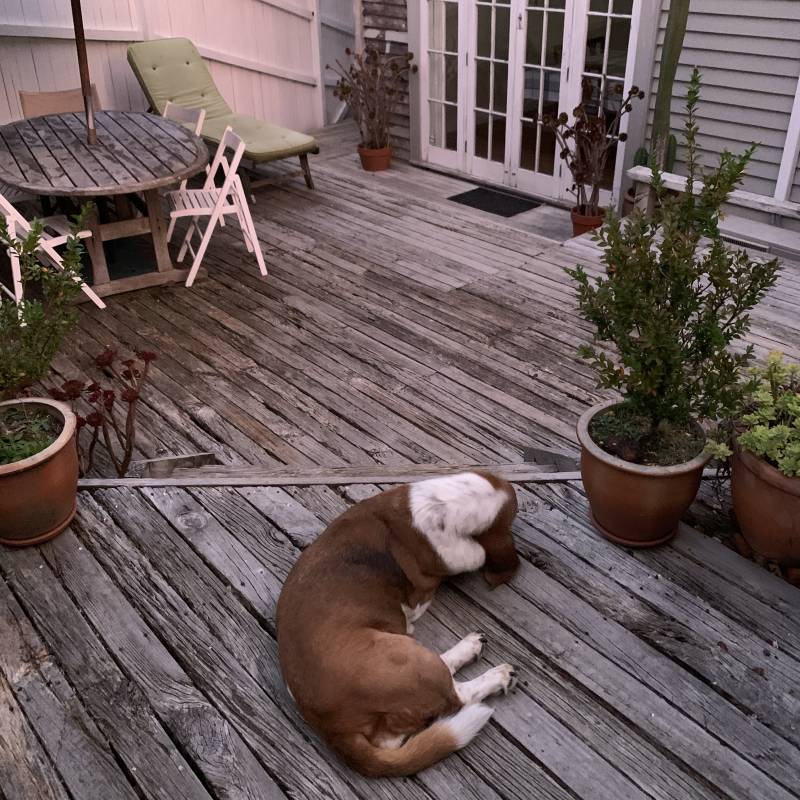 노을이 예뻐서 찍은 사진 | 인스티즈