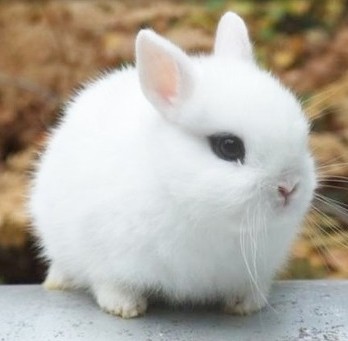 짤들아 우석이가 시그널줬잖아 | 인스티즈