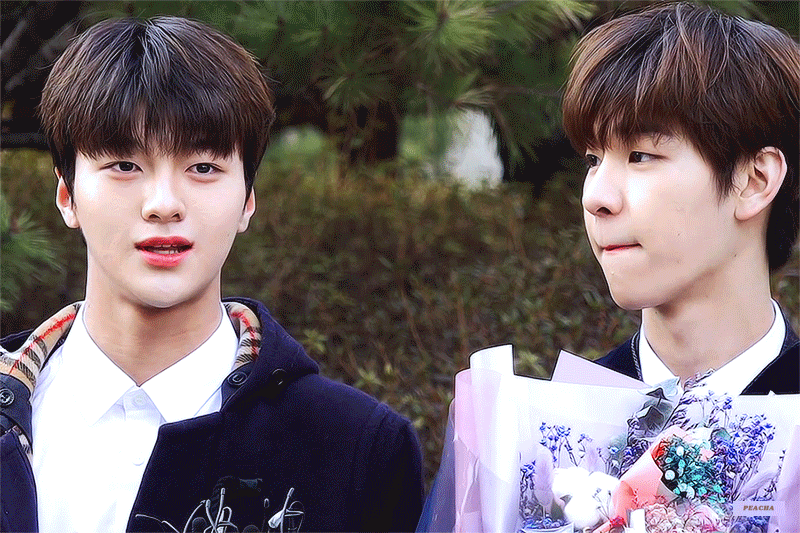 개인적으로 타돌 본진 포함 같이 있는 거 보면 되게 편안해지는 라인들임 | 인스티즈