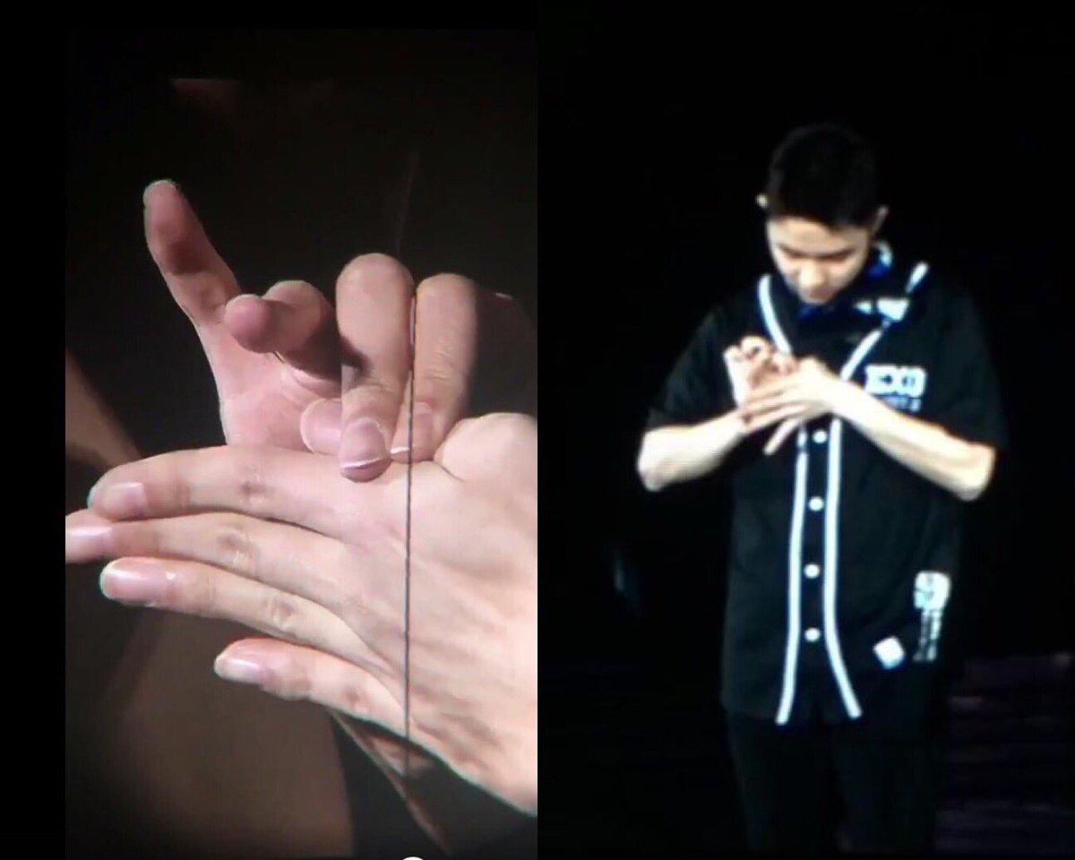 엑소 따라하는 엑소 디오 | 인스티즈